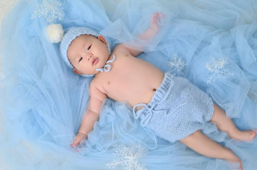 磁县宝宝树怎么样